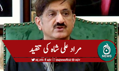 'سینیٹ الیکشن ، ہارس ٹریڈنگ سے سیاست کو بدنام کررہے ہیں'