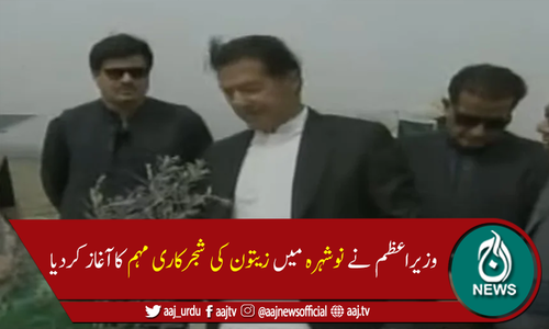 وزیراعظم عمران خان نے زیتون کی شجرکاری مہم کا آغاز کردیا