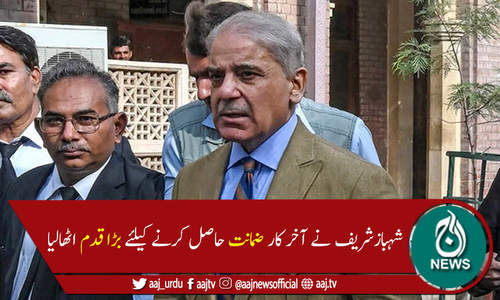 شہباز شریف نے ضمانت کیلئے لاہور ہائیکورٹ میں درخواست دائر کردی