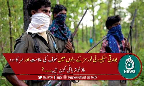 بھارت کے ماؤ نواز باغی کون ہیں؟