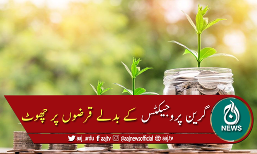 آئی ایم ایف،ورلڈ بنک کا گرین پراجیکٹس کے بدلے قرضوں میں چھوٹ پر غور