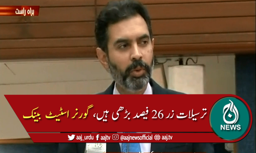 معاشی لحاظ سے ملک درست سمت کی جانب گامزن ہے، رضا باقر