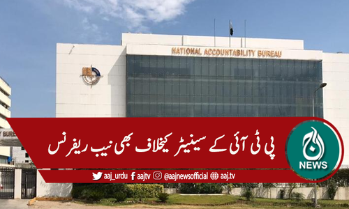 نیب ریفرنس، پی ٹی آئی کے سینیٹر عبدالقادر سمیت 12 ملزمان پر فرد جرم