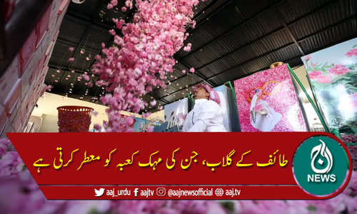 کعبہ کو معطر کرنے والے طائف کے گلاب