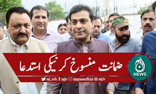 نیب : حمزہ شہباز کی ضمانت کا فیصلہ چیلنج