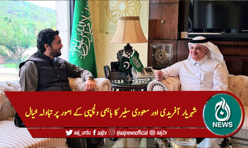 شہریار آفریدی اور سعودی سفیر کا باہمی دلچسپی کے امور پر تبادلہ خیال