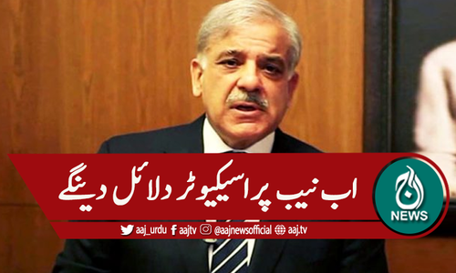 اثاثہ جات کیس، شہباز شریف کی درخواست ضمانت پرسماعت ملتوی