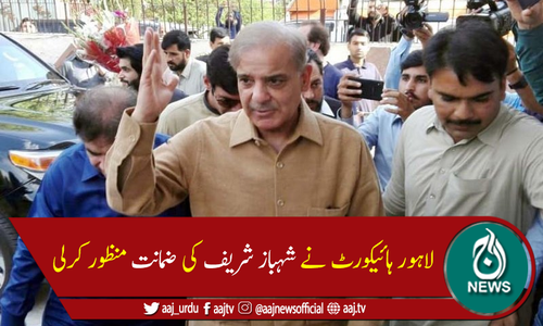 آمدن سے زائد اثاثہ جات کیس میں شہباز شریف کی ضمانت منظور