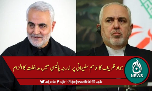 میرا خارجہ پالیسی کو متعین کرنے میں کوئی کردار نہیں، جواد ظریف