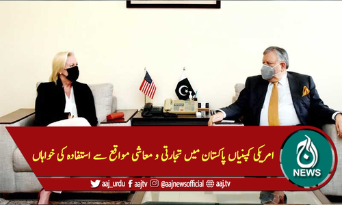 امریکی کمپنیاں پاکستان میں تجارتی و معاشی مواقع سے استفادہ کی خواہاں