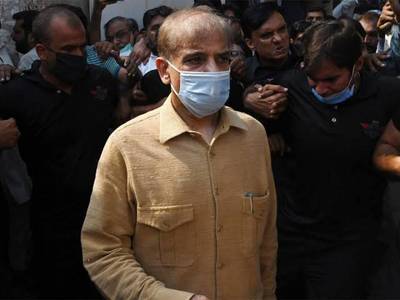 LHC allows Shehbaz Sharif to travel abroad for medical treatment