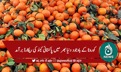 پاکستانی کینو کی برآمد کا نیا ریکارڈ