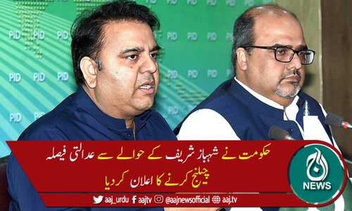 حکومت کا شہباز شریف کے حوالے سے عدالتی فیصلہ چیلنج کرنے کا اعلان