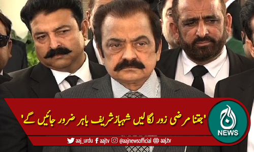 'جتنا مرضی زور لگا لیں شہبازشریف باہر ضرور جائیں گے'