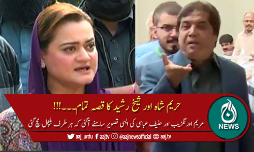 مریم اورنگزیب اور حنیف عباسی کی تصویر نے سوشل میڈیا پر ہنگامہ مچا دیا