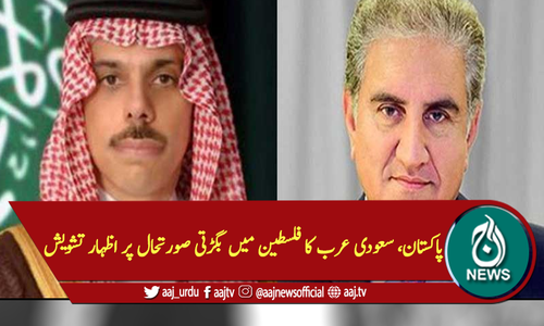 پاکستان، سعودی عرب کا فلسطین میں بگڑتی صورتحال پر اظہار تشویش