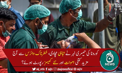 کورونا نے 24 گھنٹے میں مزید 76 جانیں لے لیں، 2,379 نئے کیسز رپورٹ