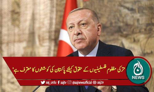 'ترکی مظلوم فلسطینیوں کے حقوق کیلئے پاکستان کی کوششوں کا معترف ہے'