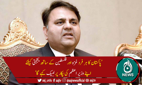 پاکستان کا ہر فرد آپ کے ساتھ ہے ہم سب فلسطین ہیں، فواد چوہدری