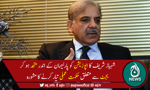 شہباز شریف کا اپوزیشن کو بجٹ سے متعلق حکمت عملی تیار کرنے کامشورہ