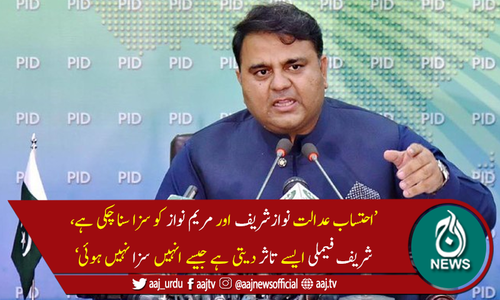 شریف فیملی ایسے تاثر دیتی ہے جیسے انہیں سزا ہوئی ہی نہیں،فواد چوہدری