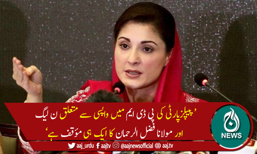 مریم نواز نےشاہدخاقان عباسی کے پیپلزپارٹی سے متعلق بیان کی حمایت کردی