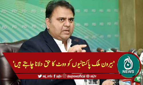 'بیرون ملک پاکستانیوں کو ووٹ کا حق دلانا چاہتے ہیں'