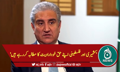 'کشمیری اور فلسطینی اپنے حق خودارادیت کا مطالبہ کررہے ہیں'