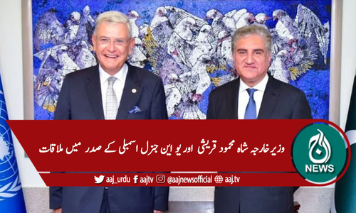 اقوام متحدہ پر فلسطین اور مقبوضہ کشمیرکے تنازعات کے حل پر زور