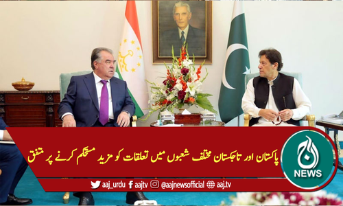 پاکستان اور تاجکستان مختلف شعبوں میں تعلقات کو مزید مستحکم کرنے پر متفق