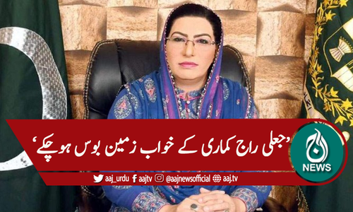 'پی ڈی ایم اب ڈکیت موومنٹ بن چکی ہے'