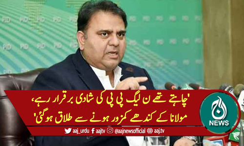 'چاہتے تھے ن لیگ پی پی کی  شادی برقرار رہے، مولانا کے کندھے کمزور ہونے سے طلاق ہوگئی'