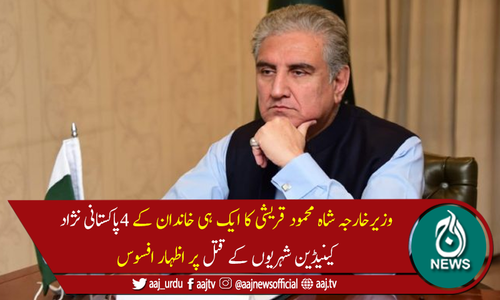 وزیر خارجہ نے کینیڈا میں پاکستانی نژاد خاندان کے قتل کو دہشتگردی قرار دیدیا