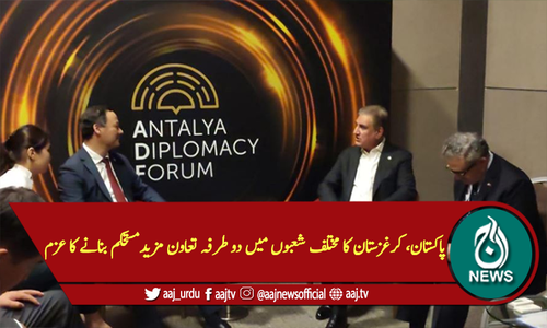 پاکستان، کرغزستان کا مختلف شعبوں میں دوطرفہ تعاون مزید مستحکم بنانے کا عزم