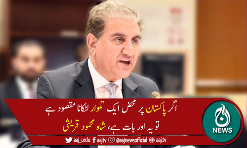 پاکستان کو گرے لسٹ میں رکھنے کا کوئی جواز باقی نہیں رہتا، وزیرخارجہ