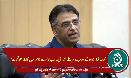 'گوادر فری زون کے دوسرے مرحلے میں ایک ارب ڈالر سے زائد سرمایہ کاری متوقع ہے'