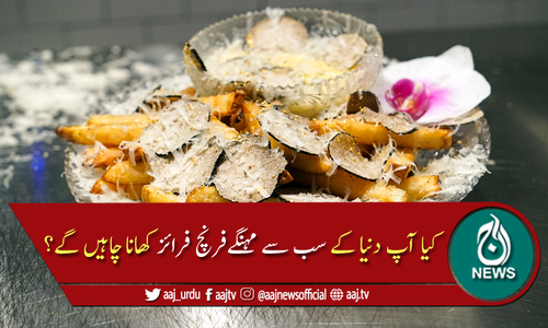دنیا کے مہنگے ترین فرنچ فرائز، قیمت اتنی کہ منہ کھلا رہ جائے