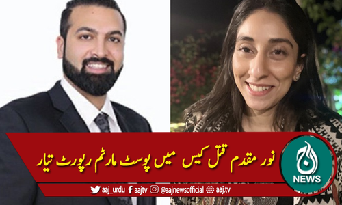 نور مقدم قتل کیس،جسم پر چاقو کے زخم کے نشانات