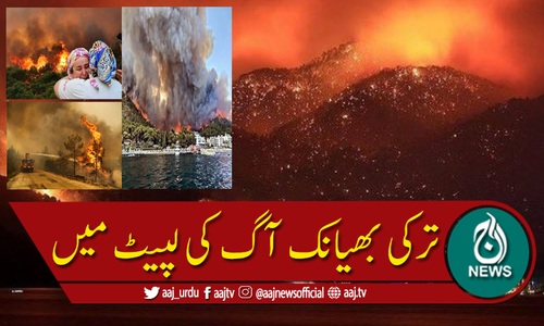 ترکی کے مختلف صوبوں میں خوفناک آتشزدگی، سوشل میڈیا پر ٹاپ ٹرینڈ