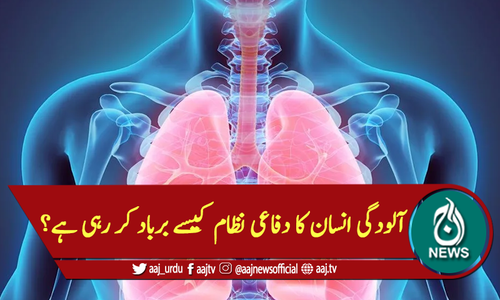 آلودگی انسان کا دفاعی نظام کیسے برباد کر رہی ہے؟