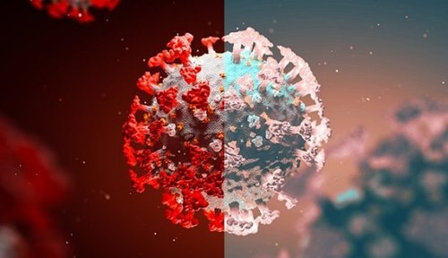 عام کورونا کے "ڈیلٹا" میں تبدیل ہونے کی کیا علامات ہیں؟ جانئے