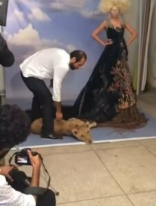 Twitter slams fashion designer for using lion as prop in shoot