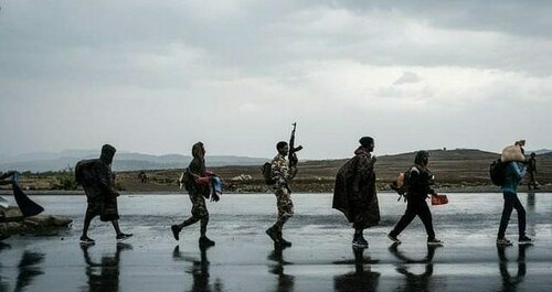 Ethiopia's Tigray taps Muslim past in propaganda push