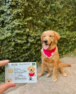 Lahore artist making pet ID cards wants to start animal rights movement