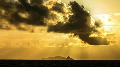 Musk donates satellite gear to reconnect Tonga