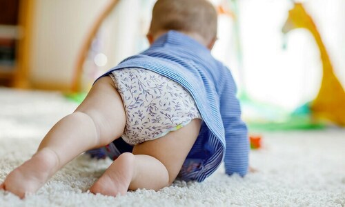 Netizens laud Chaudhry Pervaiz Elahi for "nappy" comment