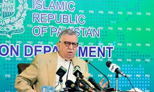 Reko Diq project to generate $100b over its lifespan, says Tarin