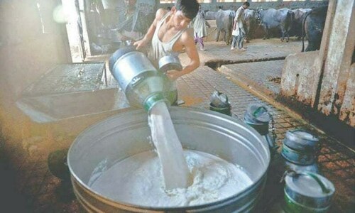 Milk prices fall by Rs80 per litre across Sindh?