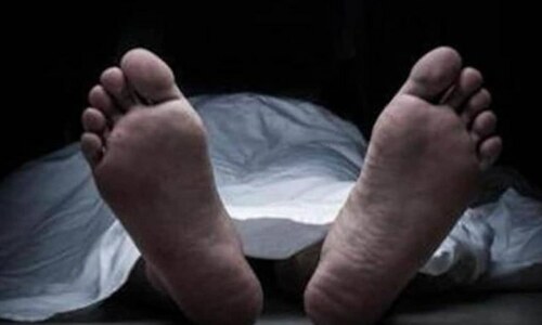 Mother kills three minor children, attempts suicide over domestic dispute