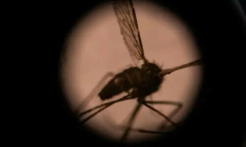 Malaria: Killer of African children set for vaccine zap